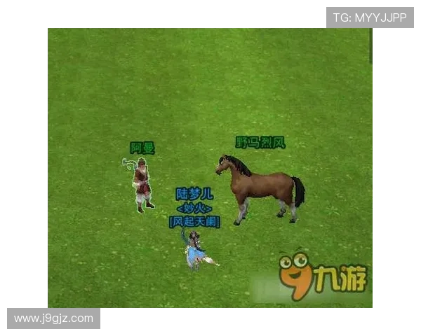 九游线上登陆账号注册流程详细介绍新手快速完成注册指南